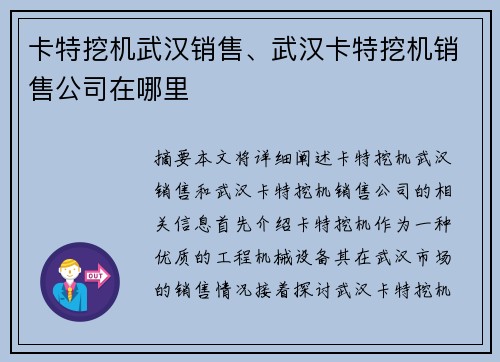 卡特挖机武汉销售、武汉卡特挖机销售公司在哪里