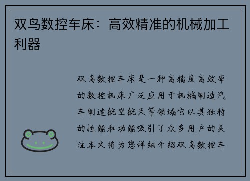 双鸟数控车床：高效精准的机械加工利器